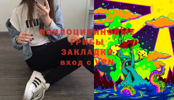 прущие крисы Михайлов