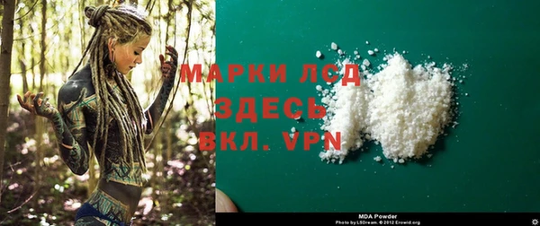 прущие грибы Надым