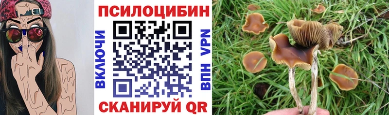 где можно купить наркотик  Гаджиево  Псилоцибиновые грибы GOLDEN TEACHER 